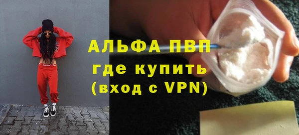 стафф Михайловск