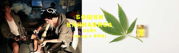 стафф Михайловск
