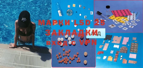 стафф Михайловск